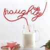 Sippin Word Straw -Naughty