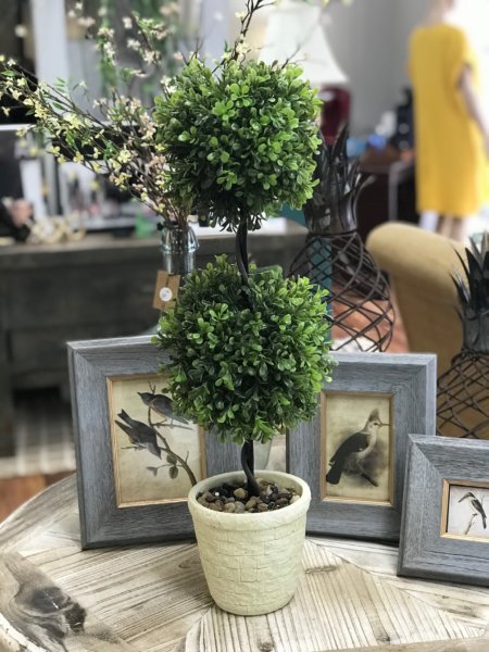 Topiary Hair Salon